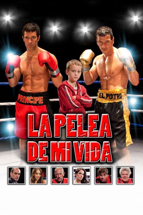 La pelea de mi vida (2012) poster