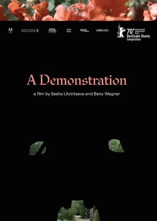 A Demonstration (2020) poster
