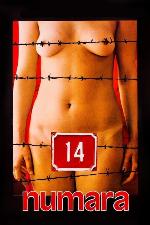 14 numara (1985) poster