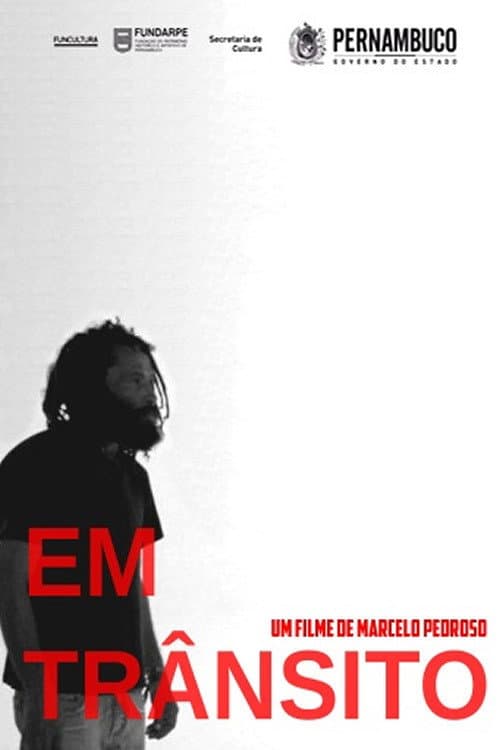 Em Trânsito (2013) poster