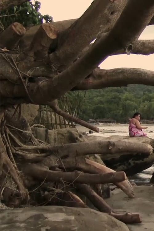 Ang pagalarawan ng kulay pula sa isang bulag (2015) poster