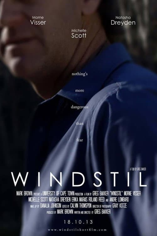 Windstil (2013) poster