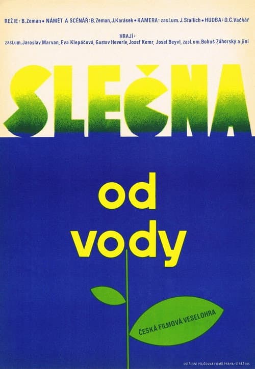 Slečna od vody (1959) poster