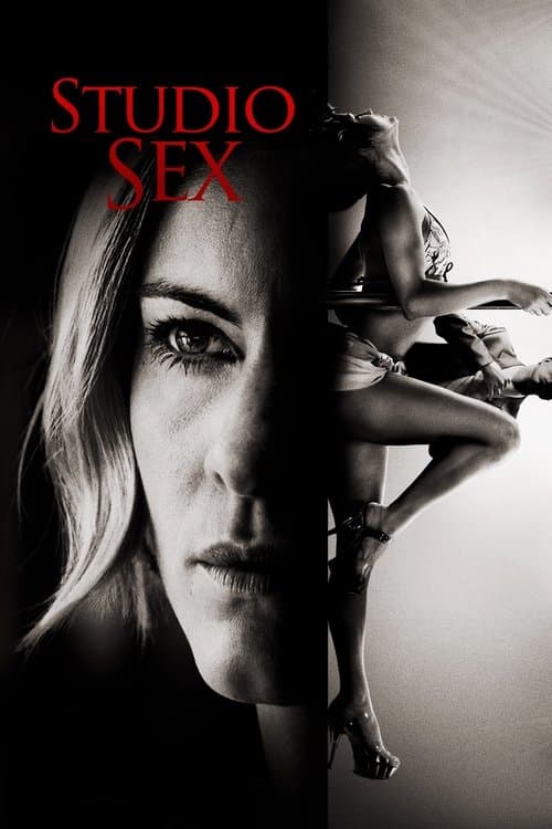 Studio Zes (2012) poster