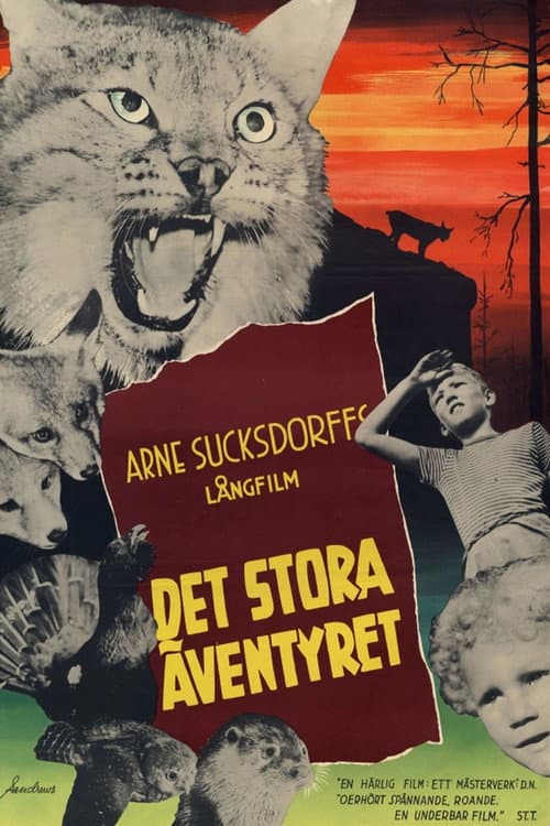 Det stora äventyret (1953) poster