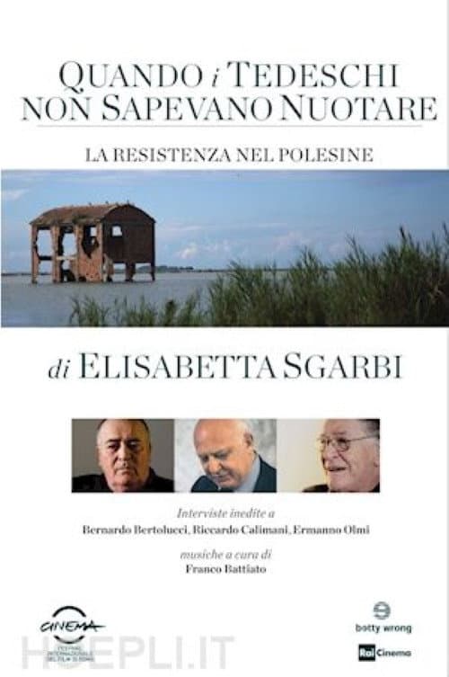 Quando i tedeschi non sapevano nuotare (2013) poster