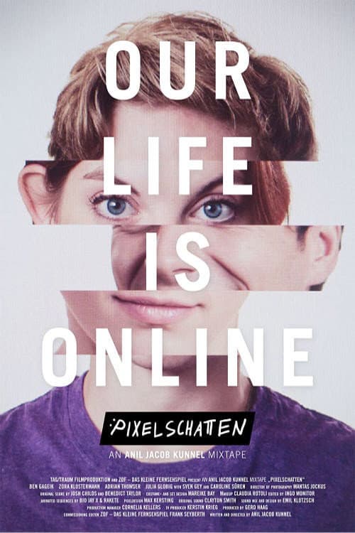 Pixelschatten (2012) poster