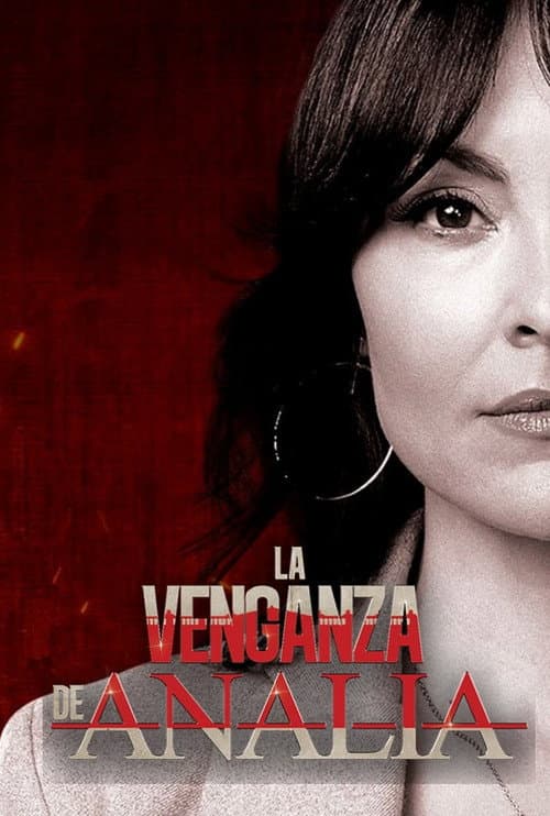 La venganza de Analía (2020) poster