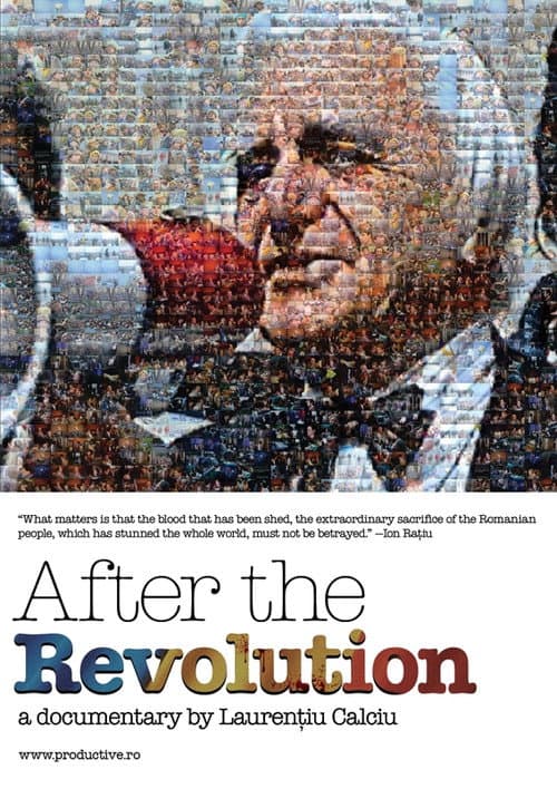 După revoluție (2010) poster