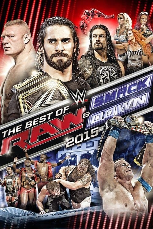 WWE The Best of Raw & SmackDown 2015 (2016) poster