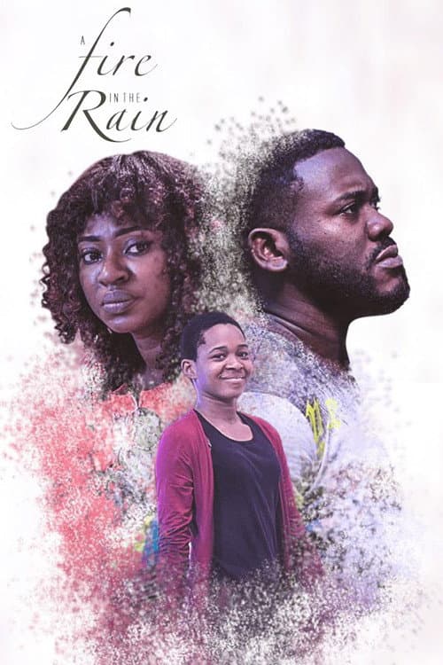 A Fire In The Rain (2017) poster