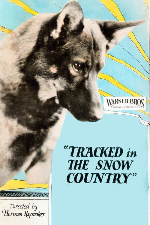 Tracked in the Snow Country (1925) poster