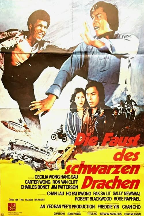 Way of the Black Dragon (1978) poster