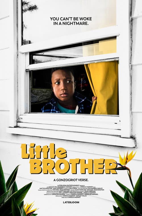 Little Brother (2020) poster