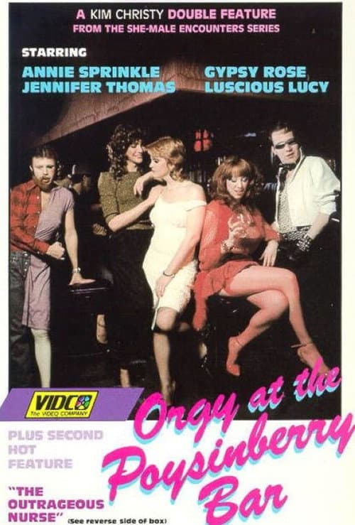 She-Male Encounters 5: Orgy at the Poysinberry Bar (1982) poster