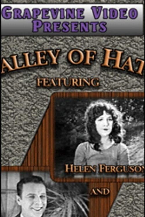 Valley of Hate (1924) poster