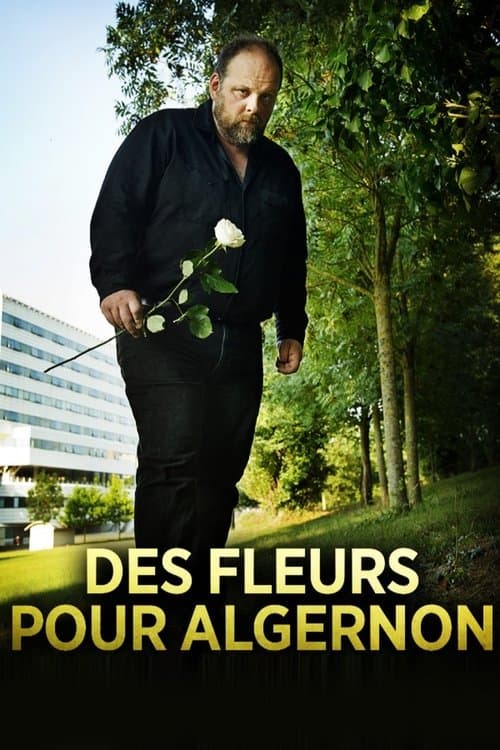 Des fleurs pour Algernon (2014) poster