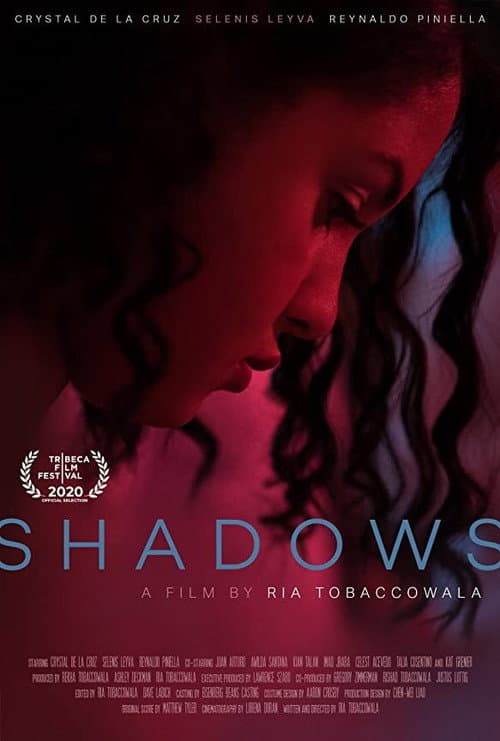 Shadows (2021) poster
