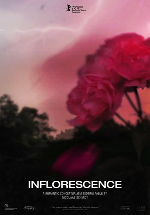 Inflorescence (2020) poster