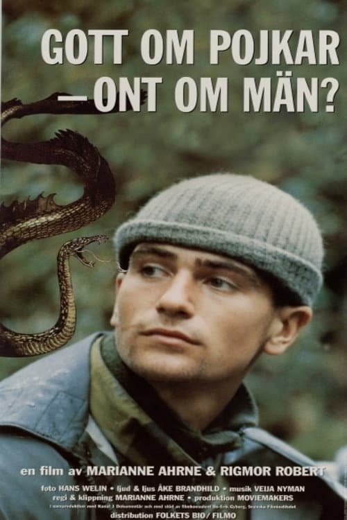 Gott om pojkar - ont om män? (1995) poster