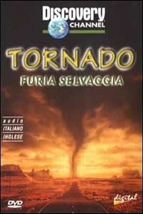 Storm forces tornadoes (2000) poster