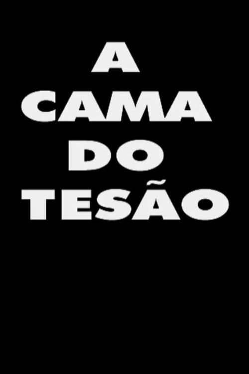 A Cama do Tesão (2000) poster