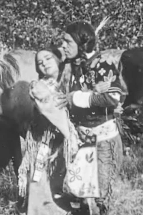The Cheyenne's Bride (1911) poster