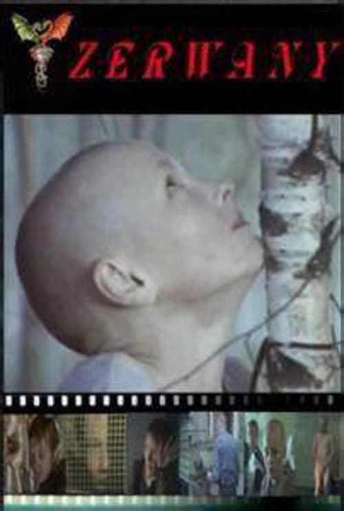 Zerwany (2003) poster
