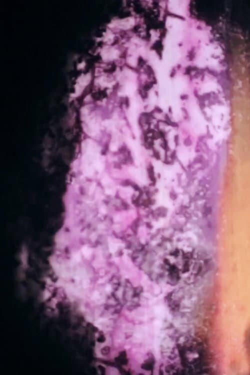 exclamation (2018) poster