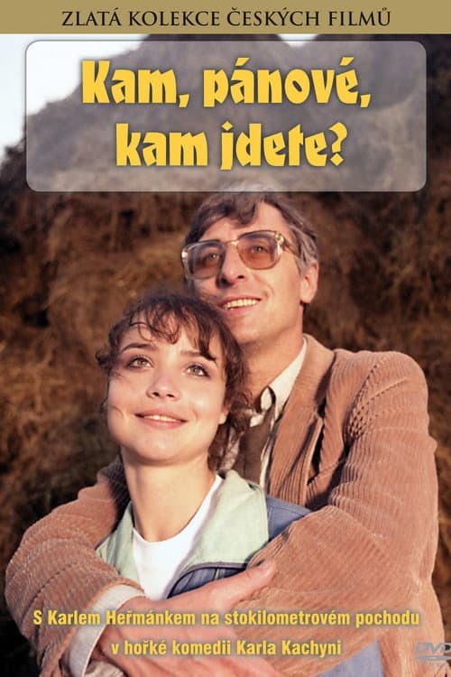 Kam, pánové, kam jdete? (1987) poster