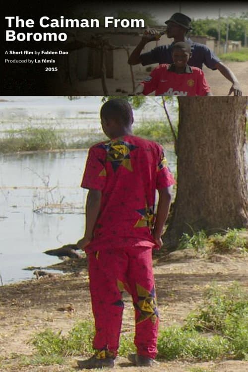 Le caïman de Boromo (2016) poster