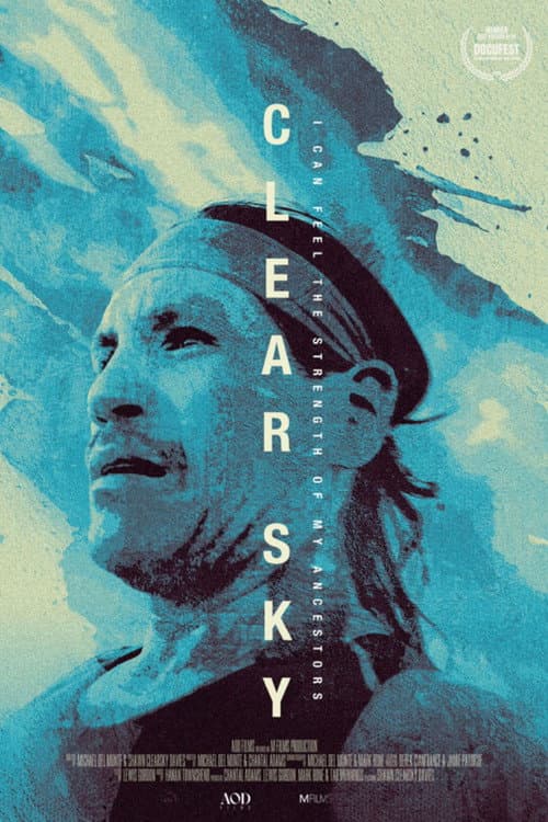 Clear Sky (2025) poster