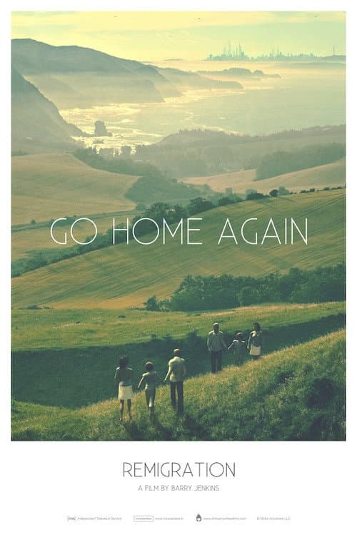 Remigration (2011) poster