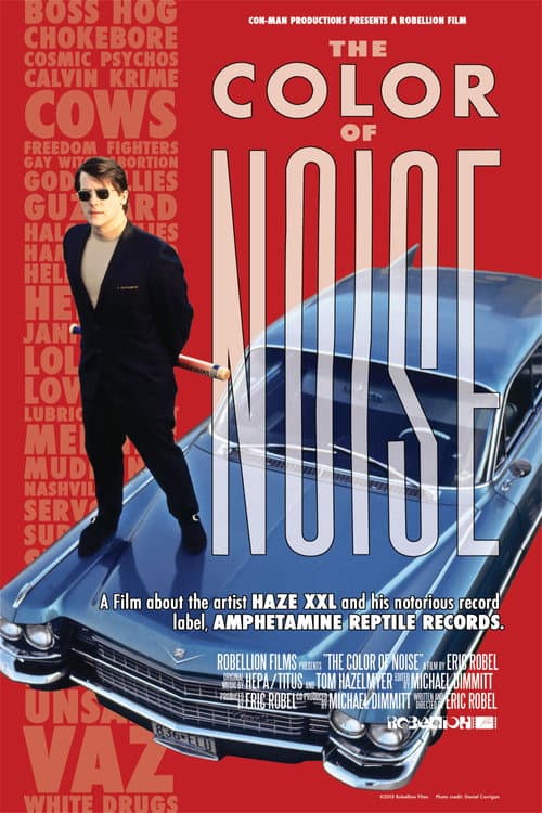 The Color of Noise (2014) poster