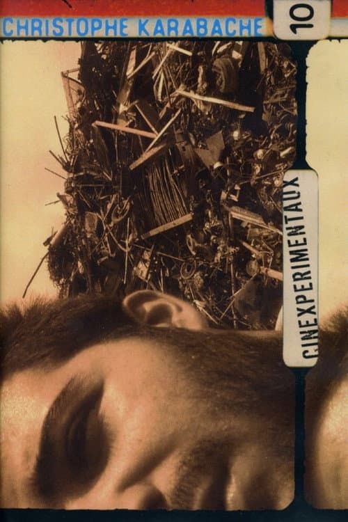 Cinexpérimentaux #10: Christophe Karabache (2013) poster