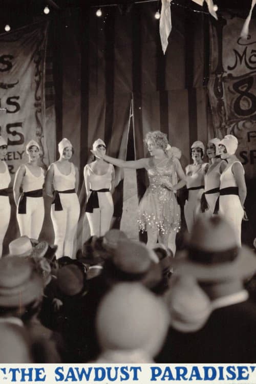 The Sawdust Paradise (1928) poster