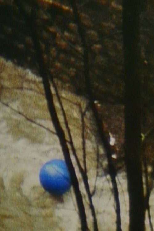 Blue Air Balloon (1980) poster
