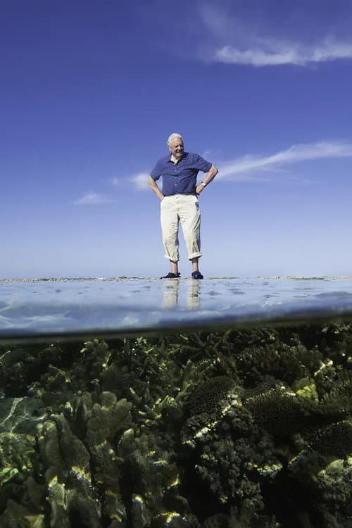 Reef Diaries (2015) poster
