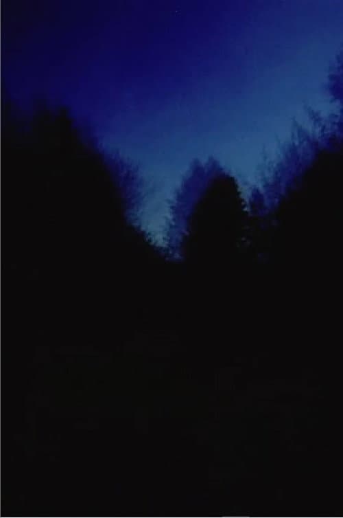 Brouillard #2-12-6 (2011) poster