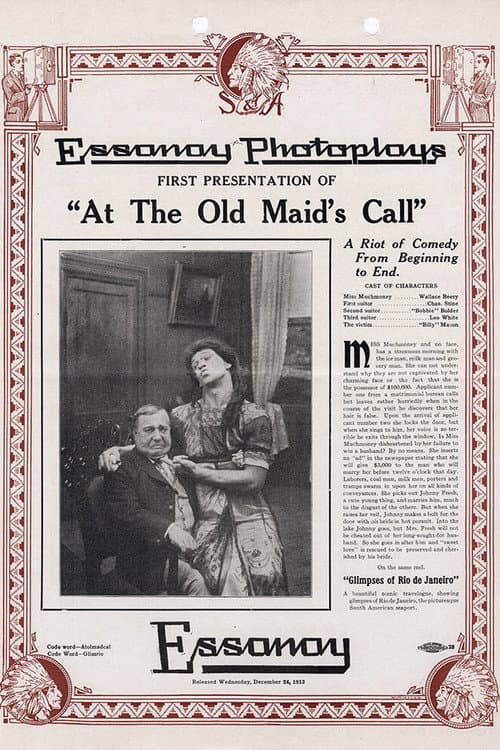 At the Old Maid's Call (1913) poster