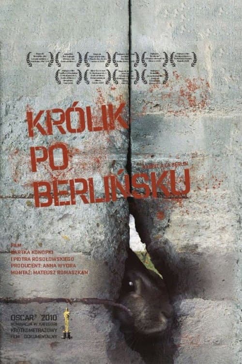 Królik po berlińsku (2009) poster