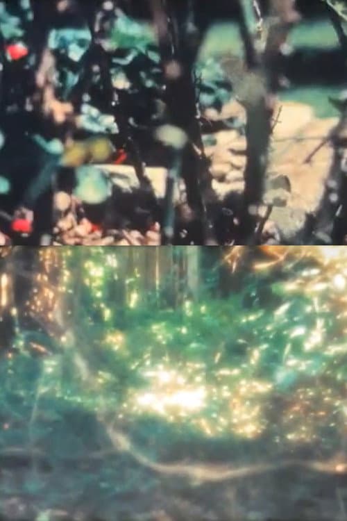 Reseeding Air (1996) poster