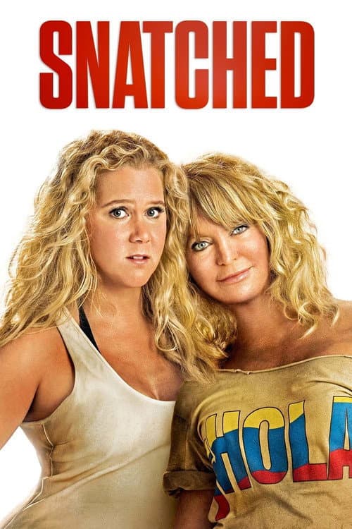 Snatched (2017) poster