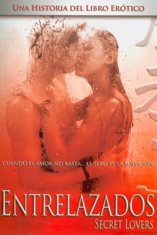 Shibari (2002) poster