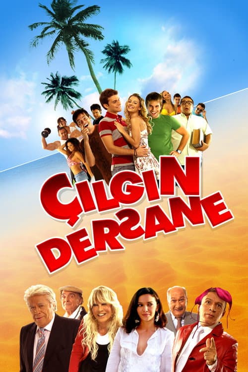 Çılgın Dersane (2007) poster