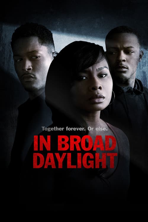 In Broad Daylight (2019) poster