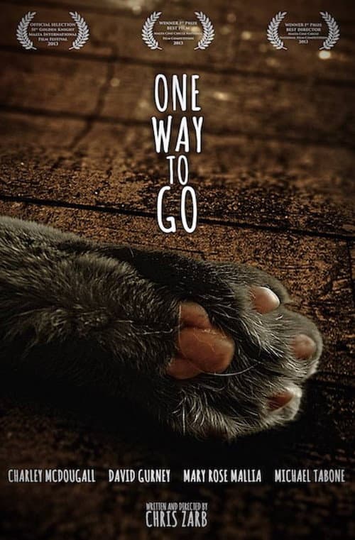 One Way To Go (2013) poster