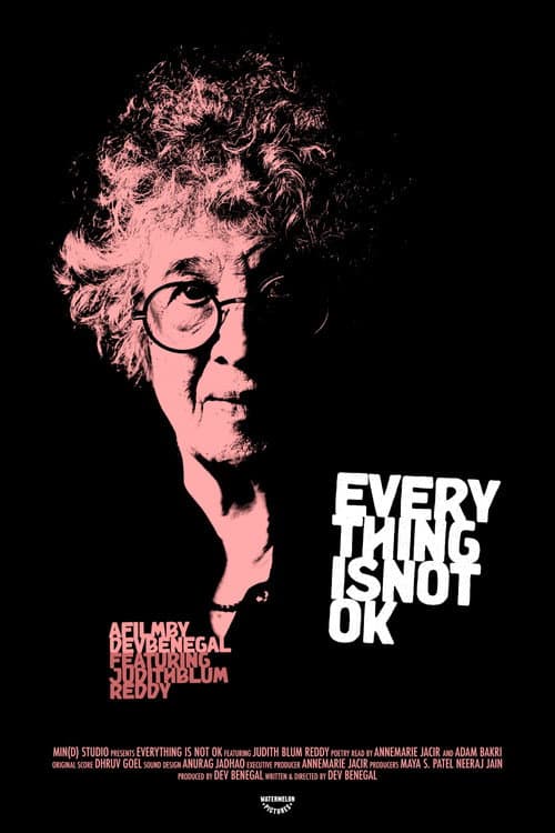 Everything Is Not OK (2027) poster
