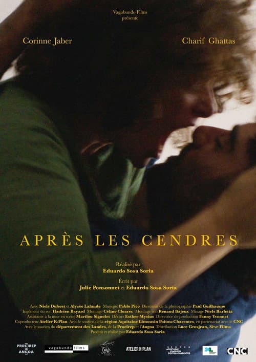 Après les cendres (2016) poster