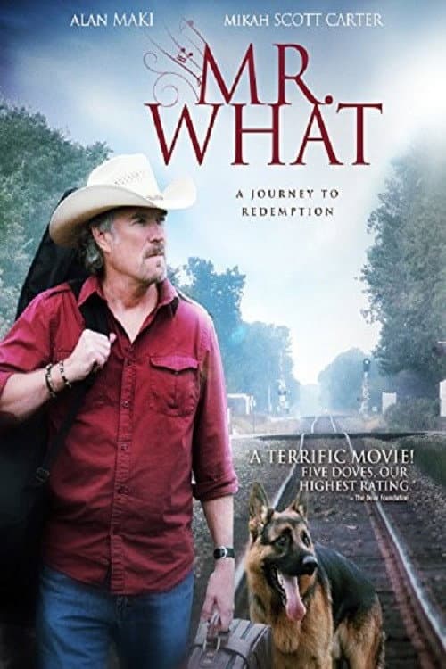 Mr. What (2015) poster